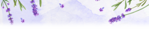 Ein leicht violetter, transparenter Hintergrund. Am oberen Rand sind Lavendelzweige zu erkennen, manche davon haben auch Lavendelblüten an den Zweigen.