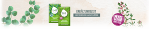 Ein langes Banner und in der Mitte des Bildes sind die Produkte "Badesalz Thymian Erkältungszeit" und "Badesalz Eukalyptus Atemfrei" abgebildet. Daneben steht in großen grauen Buchstaben "Erkältungszeit" und in einem kleineren grauen Kästchen ist der weiße Schriftzug "Befreiende Badezusätze" abgebildet. Auf der rechten Seite ist außerdem ein violetter Kreis mit dem Text "Jetzt mehr Inhalt!" abgebildet. Der Hintergrund ist beige gestaltet und um das Produkt herum ist Eukalyptus und Thymian abgebildet.