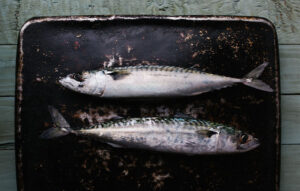 Zwei Fische liegen auf einem Metallbrett. Das Metallbrett steht auf einer Holzfläche.